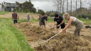 Prepping the tree rows