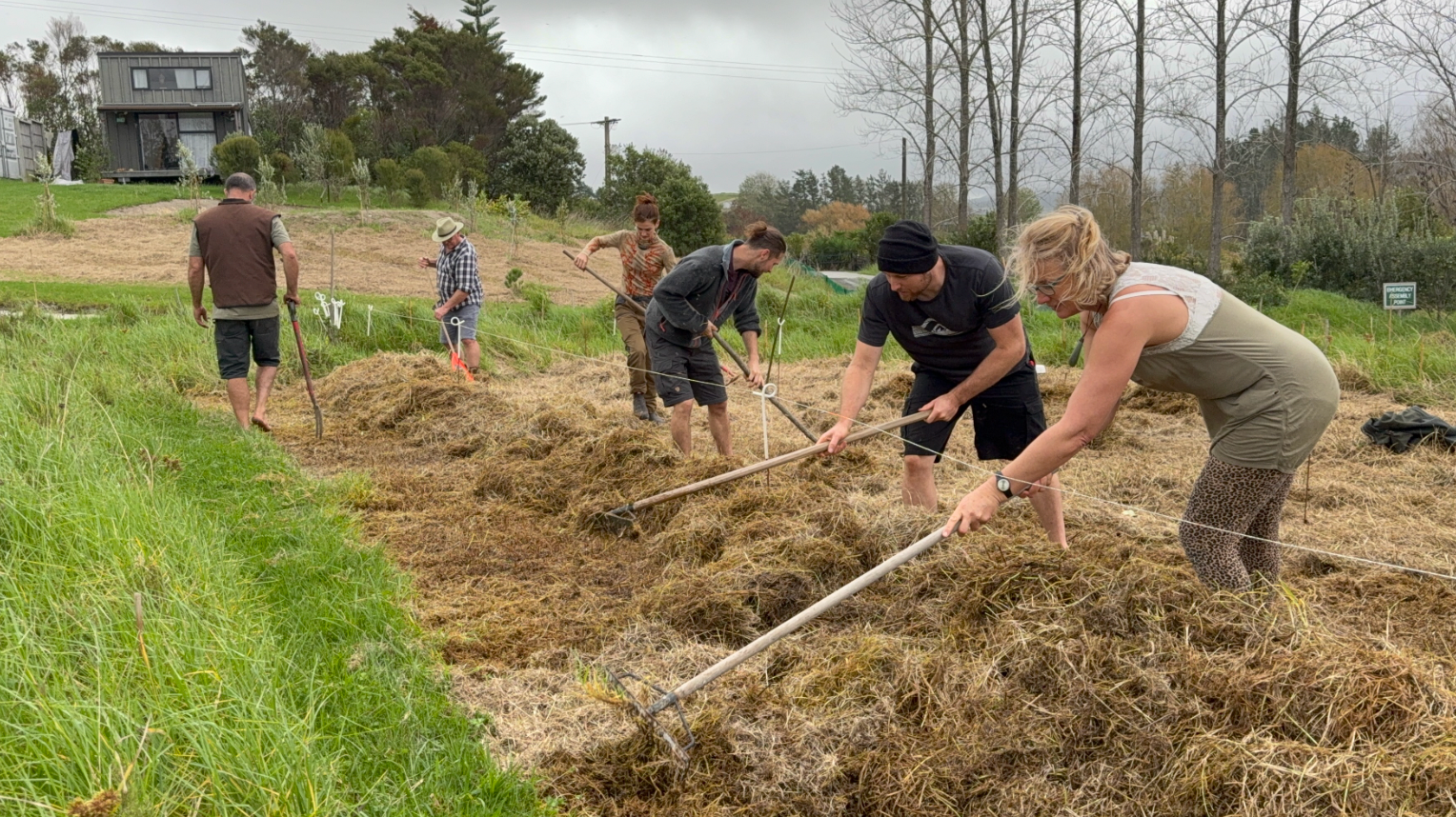 Prepping the tree rows