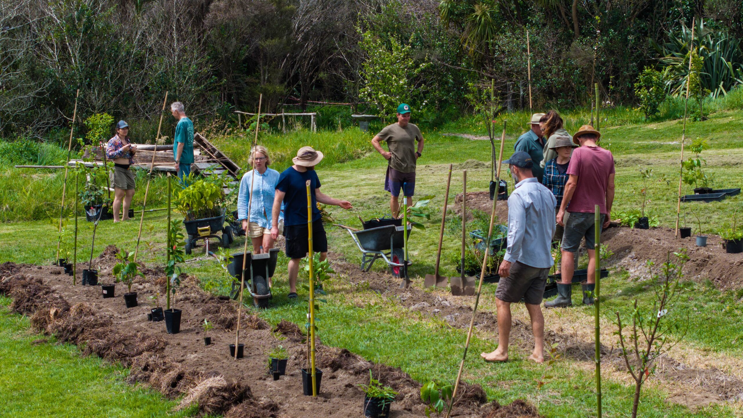 Image showcasing Fast Track your Food Forest – in collaboration with nature